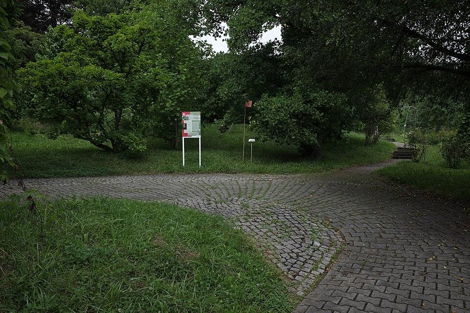 Taxi-Ausflug: Botanischer Garten